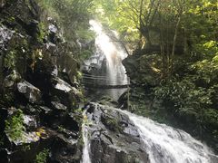 -藏龙百瀑风景区