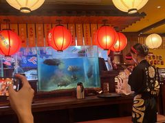 -鸟鹏烧鸟居酒屋(熙龙湾店)