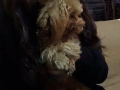 -赢吧Bliss音乐酒吧