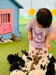 -萌宠亲子动物乐园(槐房万达店)