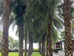 -三亚海棠湾万丽度假酒店