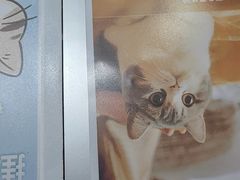 -瑞鹏·疫苗·绝育·宠物医院(金沙洲店)