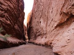 -天山神秘大峡谷