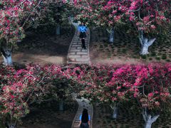 -国家植物园