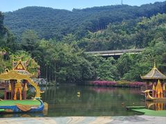 -西双版纳原始森林公园