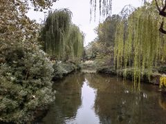 -趵突泉景区