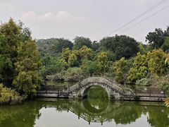 -张坝桂圆林公园