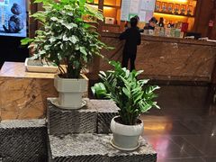 -黔蘑菇四季餐厅(观山湖店)