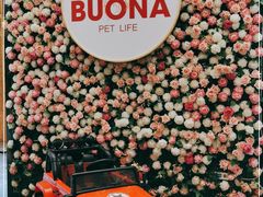 -百好乐宠物友好餐厅(朝外大街店)