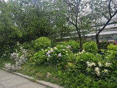 -南山植物园