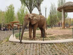 -石家庄市动物园