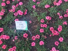 -北京植物园-展览温室
