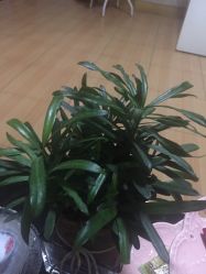 点击看大图 -本真坊美容美体沙龙