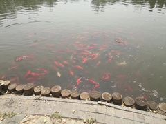 -燕郊植物园