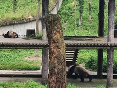 -碧峰峡风景区