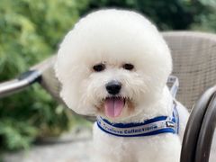 -北化机爱工场文化科技融合产业园