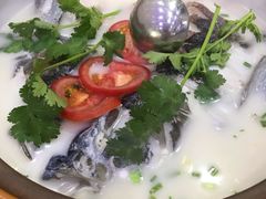 -全乐鱼馆·淳牌有机鱼直营店