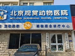 -北京观赏动物医院·24小时大型综合·猫专科·异宠专科