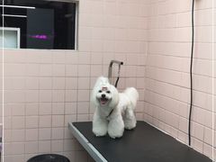 -FAELING PETS美天灵宠物(富力广场店)