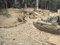 -五龙山野生动物王国