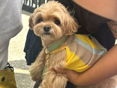 -J Create城市露营咖啡·简餐·宠物(上海动物园店)