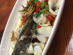 -顺德了能馆(虎门店)