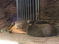 -成都浩海立方海洋公园