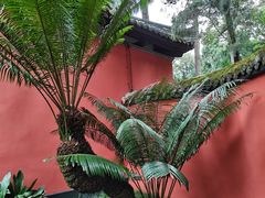 -成都武侯祠博物馆