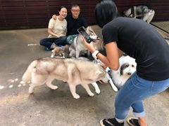 -TrueLove @ Neverland (Husky Cafe)