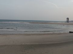 -日照海滨国家森林公园
