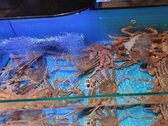 -阿伟海鲜楼·福建菜(延寿店)