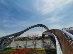 -澹台湖公园