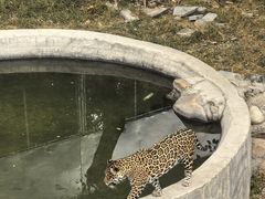 -石家庄市动物园