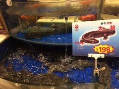 -海景壹号大酒店(滨湖店)