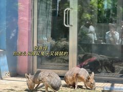 -天津市动物园