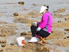 -日照世帆赛基地