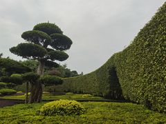 -南宁南湖公园