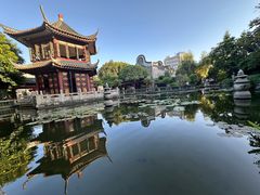 -碧江金楼
