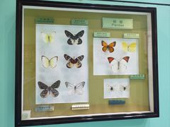 -上海昆虫博物馆