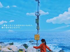 -广东惠东海龟国家级自然保护区