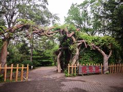 -沈阳植物园