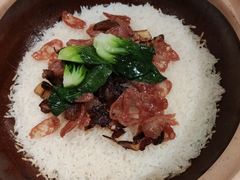 -旺小胖小龙虾