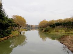 -昆山城市生态森林公园