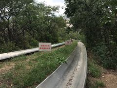 -富斯特索道