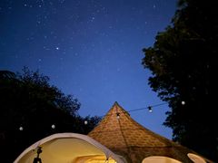 -怀托摩萤火虫洞