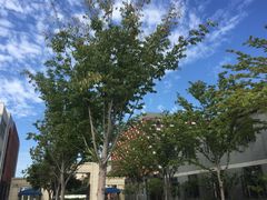 -锡师附小学(学前街校区)