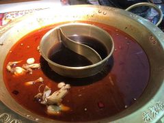 -新哥老官·畅吃123·美蛙世界(苏宁广场店)