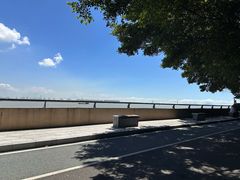 -大湾区中央湿地公园