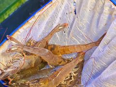 -巽寮印象美食部落餐厅·海鲜·地方特色菜(惠州体验店)