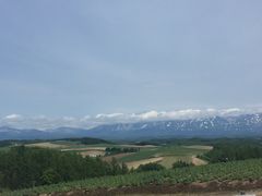 -富田农场